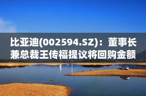 比亚迪(002594.SZ)：董事长兼总裁王传福提议将回购金额增加至4亿元