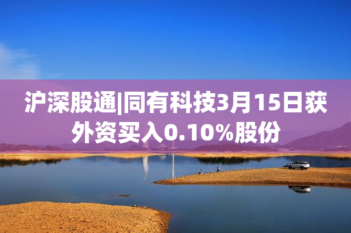 沪深股通|同有科技3月15日获外资买入0.10%股份